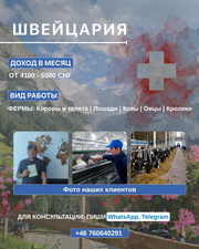 Pабота на ферме в Швейцарии